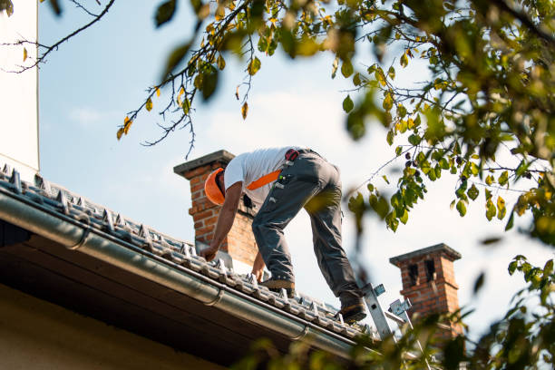 Roof Gutter Cleaning in Douglasville, GA